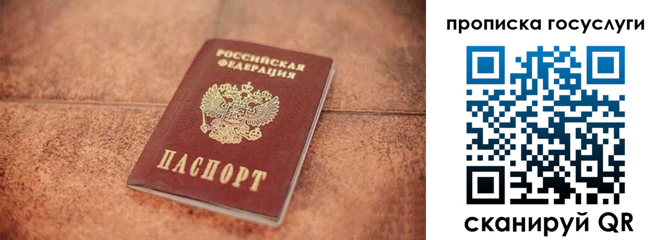 прописка законно в Емве